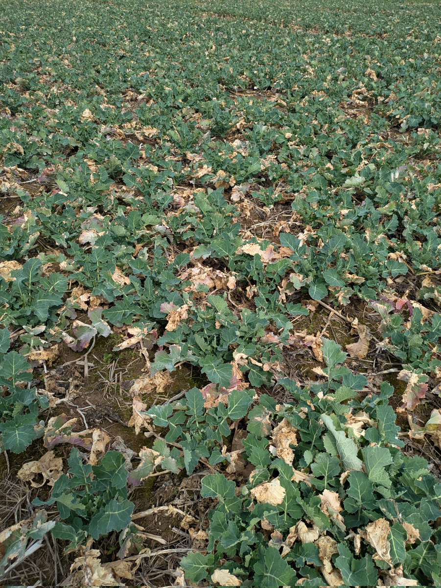 Brian Ulen tweet media