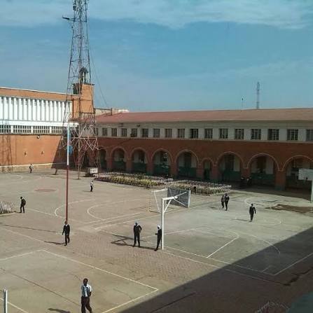 Junior Kaya tweet media