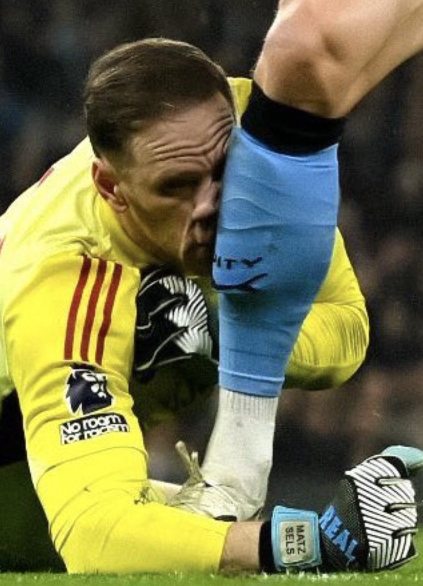 The City Shack tweet media