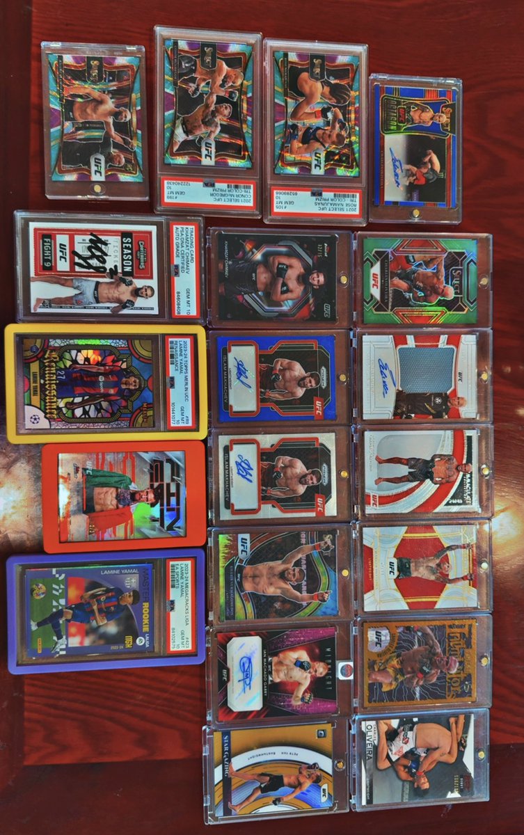 🌳𝗕𝗪𝗕🌳 tweet media