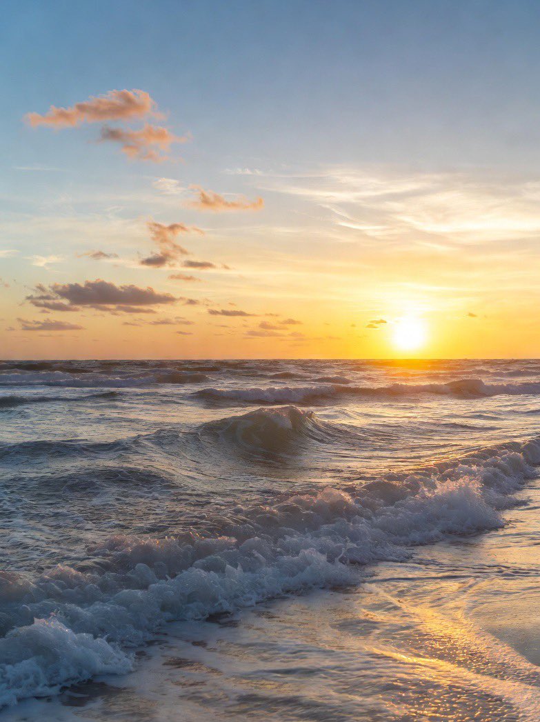 Lisa🌺 tweet media