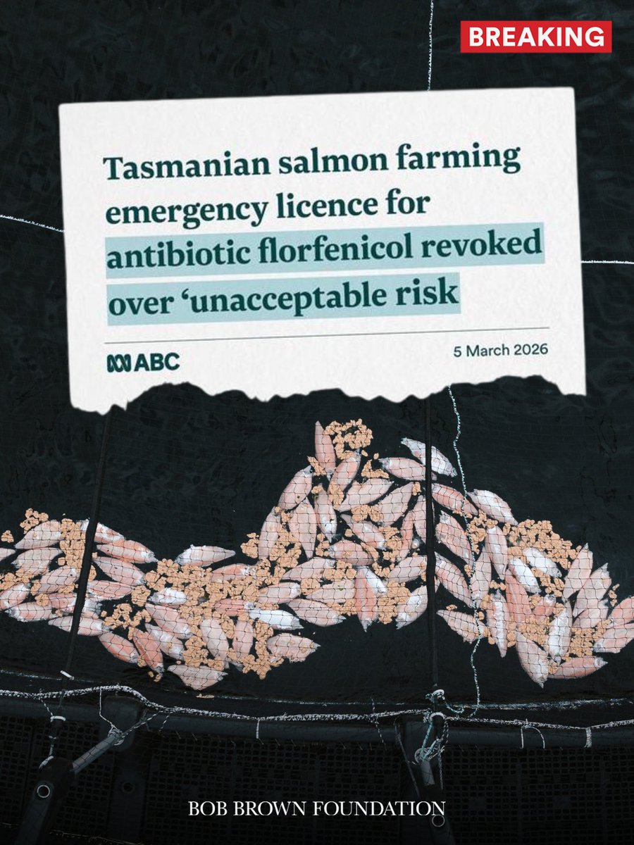 Bob Brown Foundation tweet media