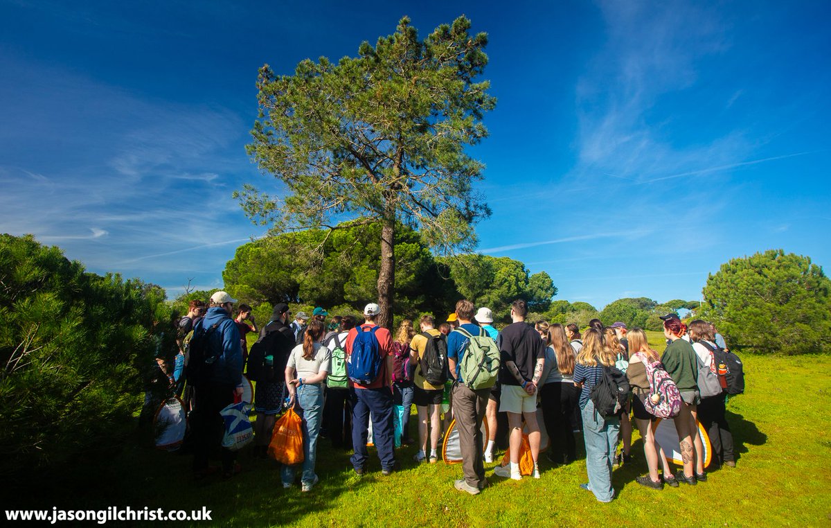 jgilchrist13's tweet photo. Edinburgh Napier University Terrestrial Field Ecology field course 2026, BSc Animal and Conservation Biology: Algarve, Portugal. Studying arthropod - vegetation relationship. #EdinburghNapier #FieldCourse #ecology #wildlife #conservation #BSc #EdinburghNapierUniversity https://t.co/59xUR4YgJ9