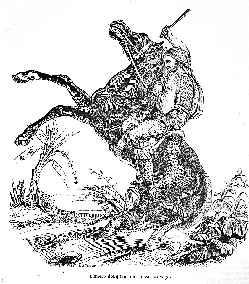 Idearium Caribe tweet media