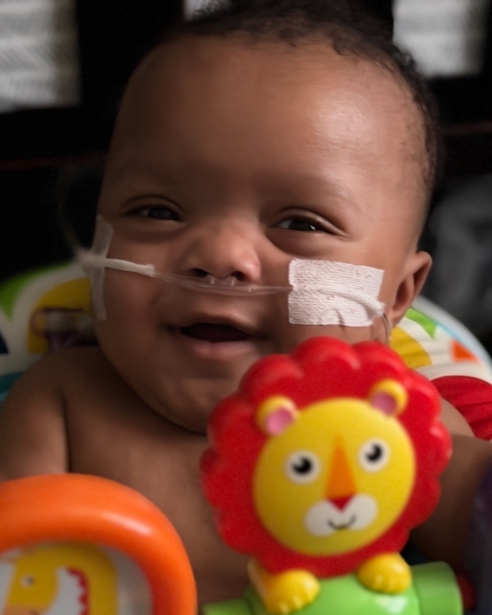 Live Action tweet media