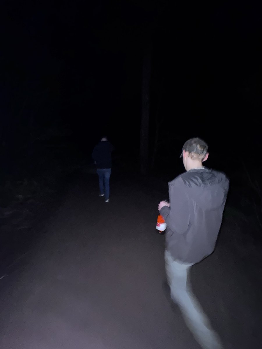 Denny Gornall tweet media