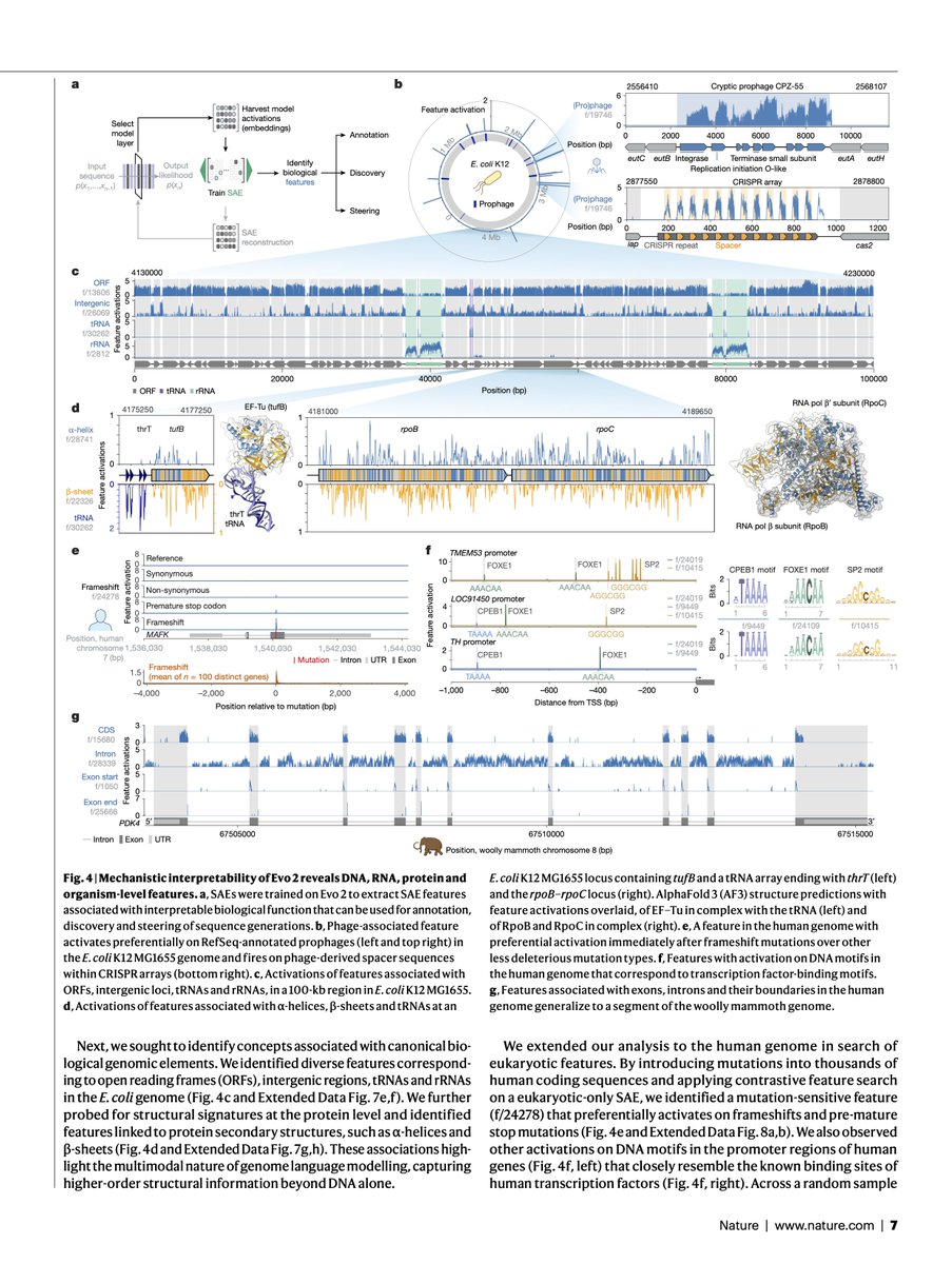 Goodfire tweet media