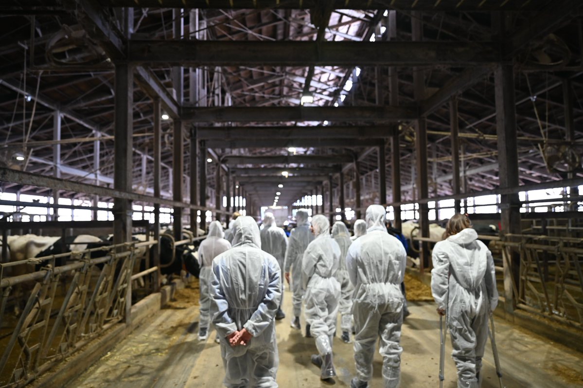 スウェーデン大使館 tweet media