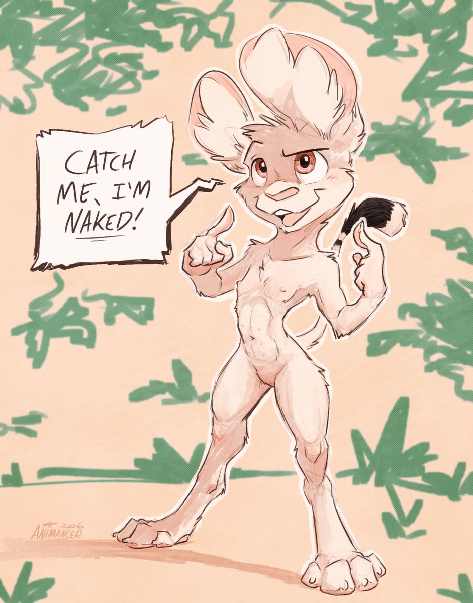 Animancer tweet media