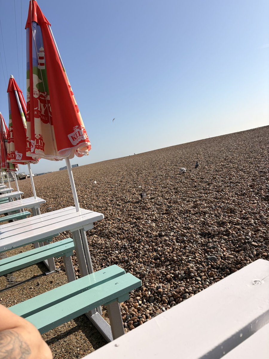 daniellemayxox's tweet photo. brighton, you were a dream. definitely recommend staying in the leonardo royal hotel along the sea front!😍

#brighton #seaside https://t.co/DbKRTSoTD2