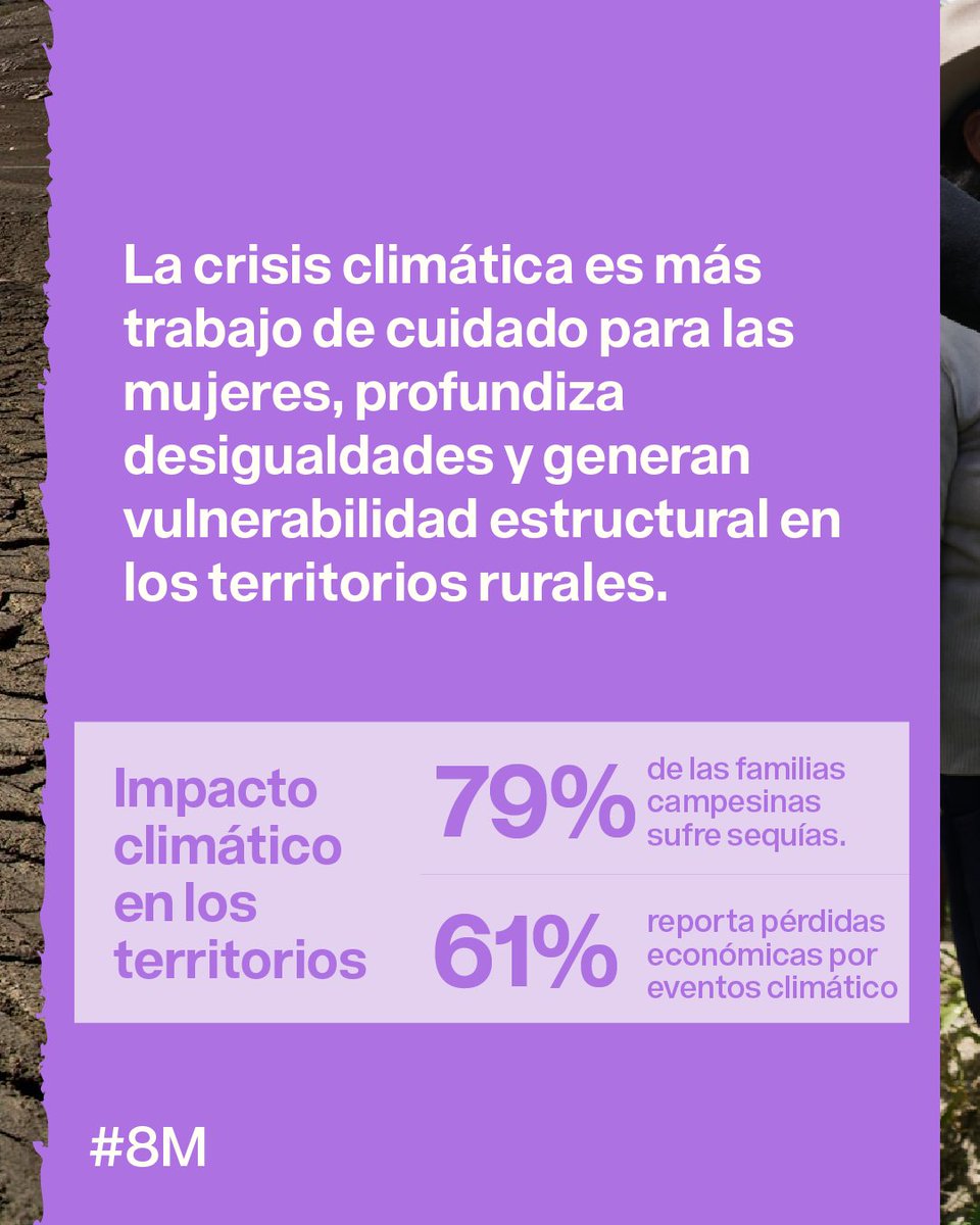 #8M2026 
¿El cambio climático afecta a todos?
Te compartimos algunos datos que surgen de un proceso de investigación que realizamos en 150 hogares de comunidades rurales en distintos puntos del país 🇦🇷👩🏽‍🌾
(Sigue👇)