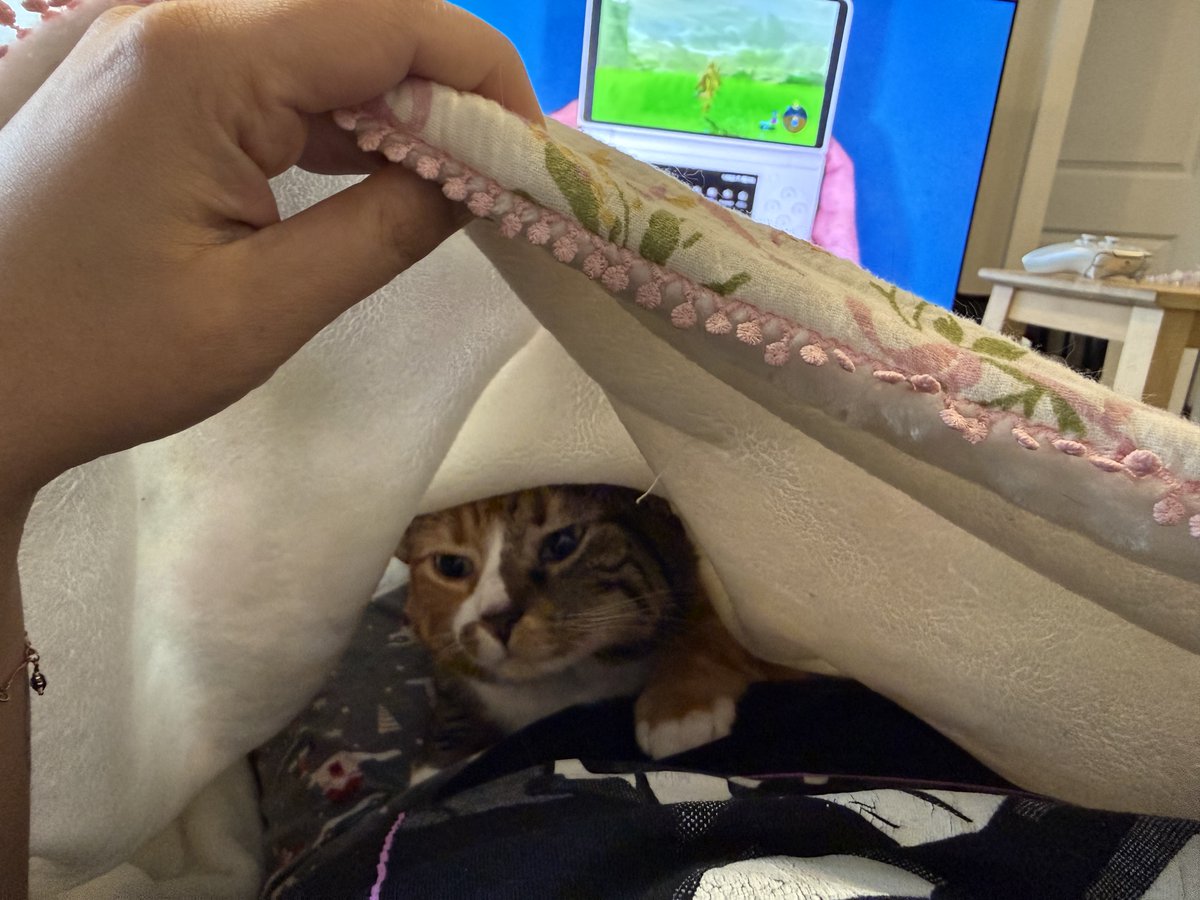 rin🐱Mochi Fan Account tweet media