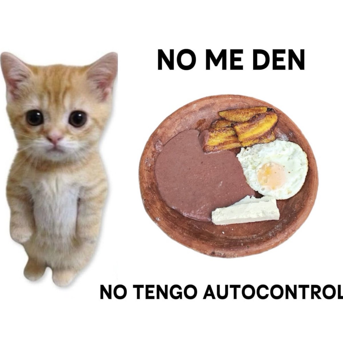 Michell 🪄 tweet media