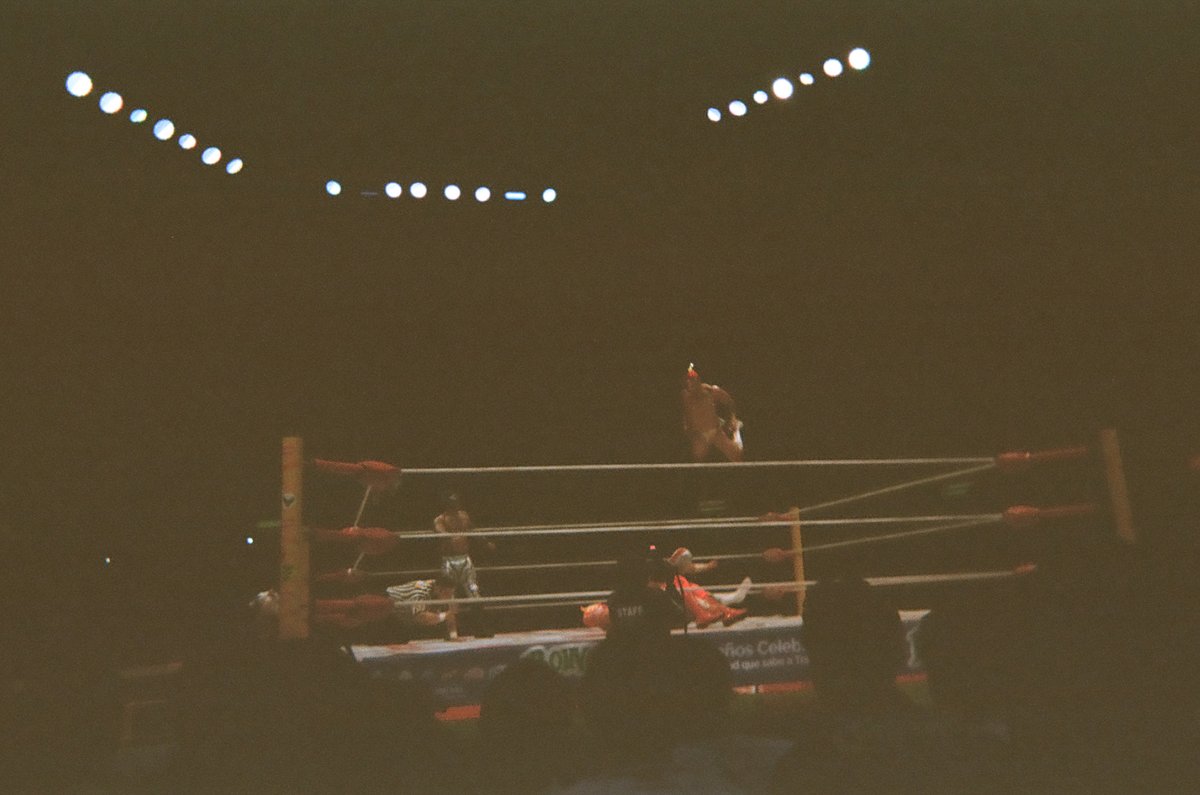 Tania Salientes tweet media