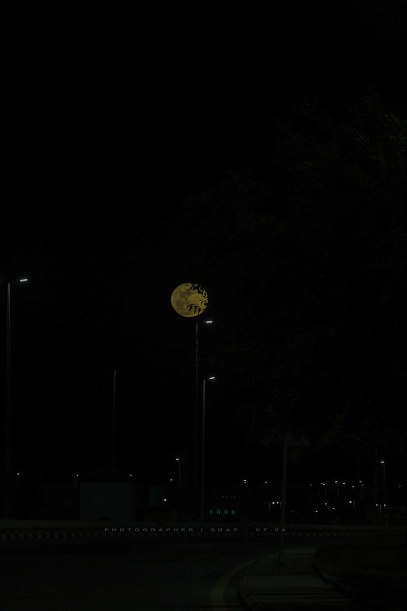 فهد مسلم الجنيدي | مصور 🤳 tweet media