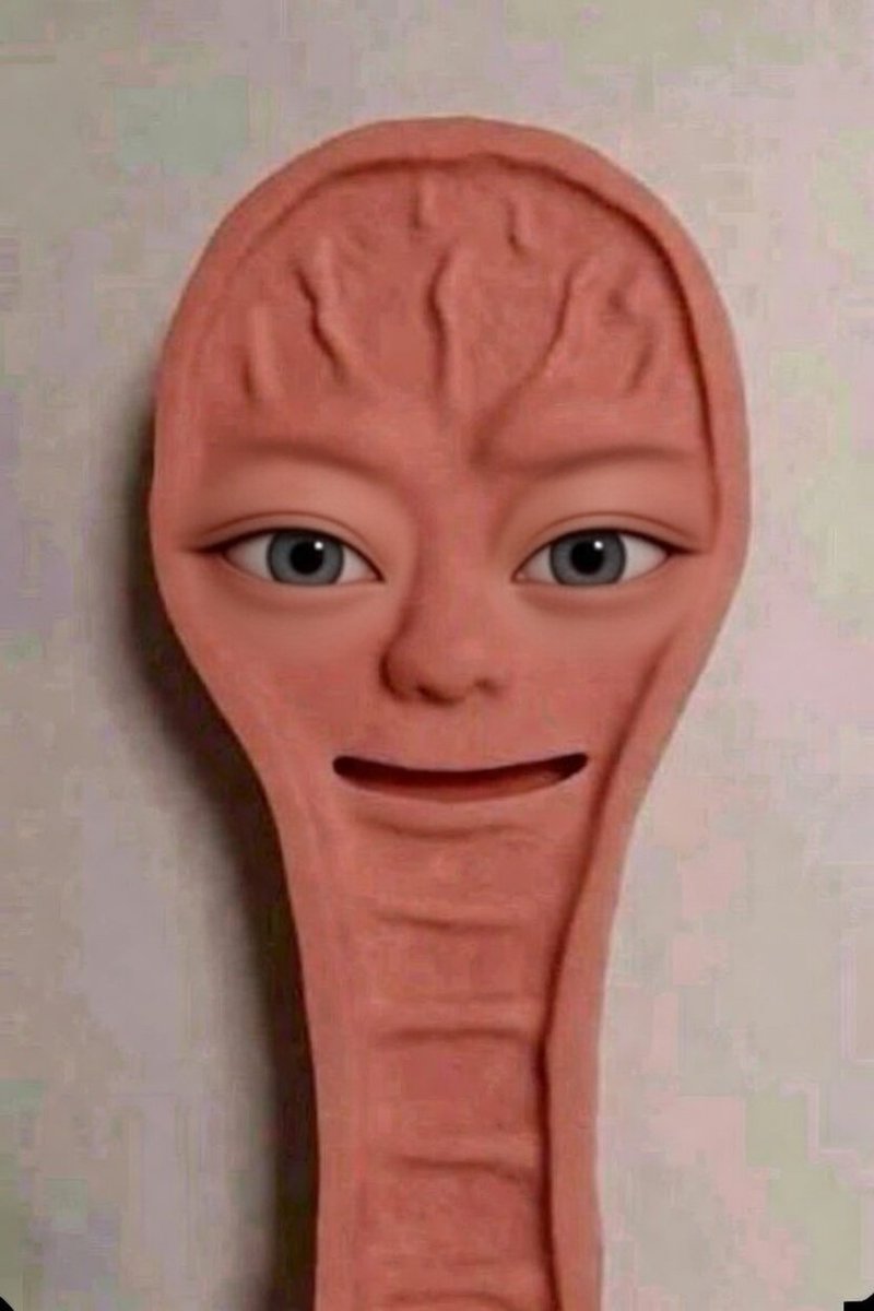 Beaver👀 tweet media