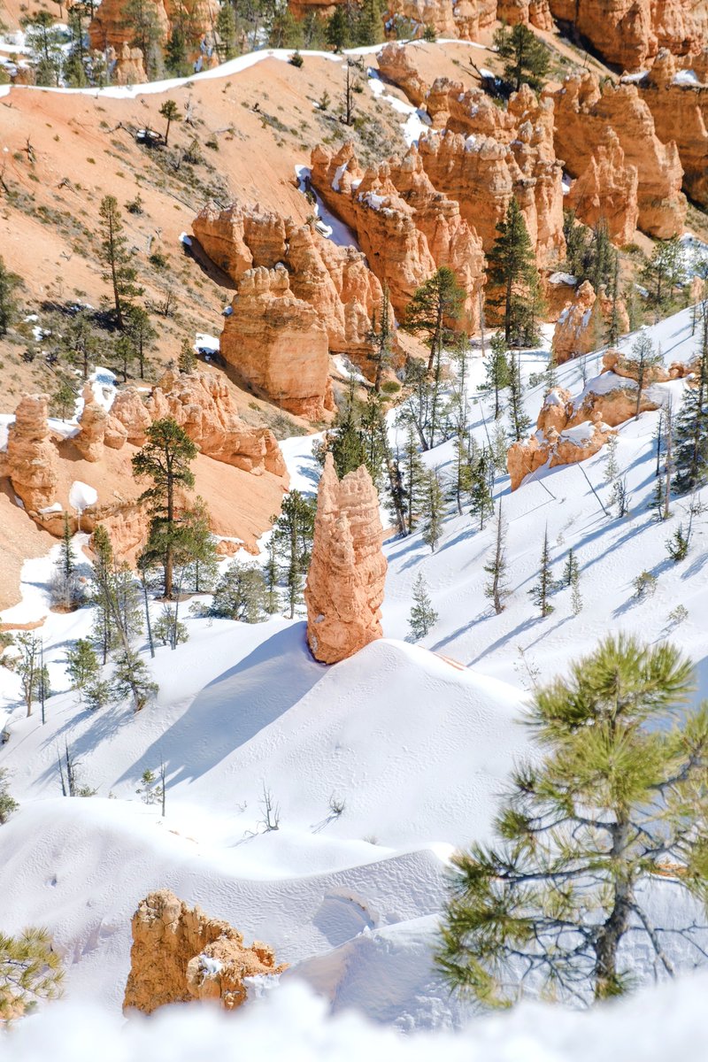 Simon Ribadeneira tweet media