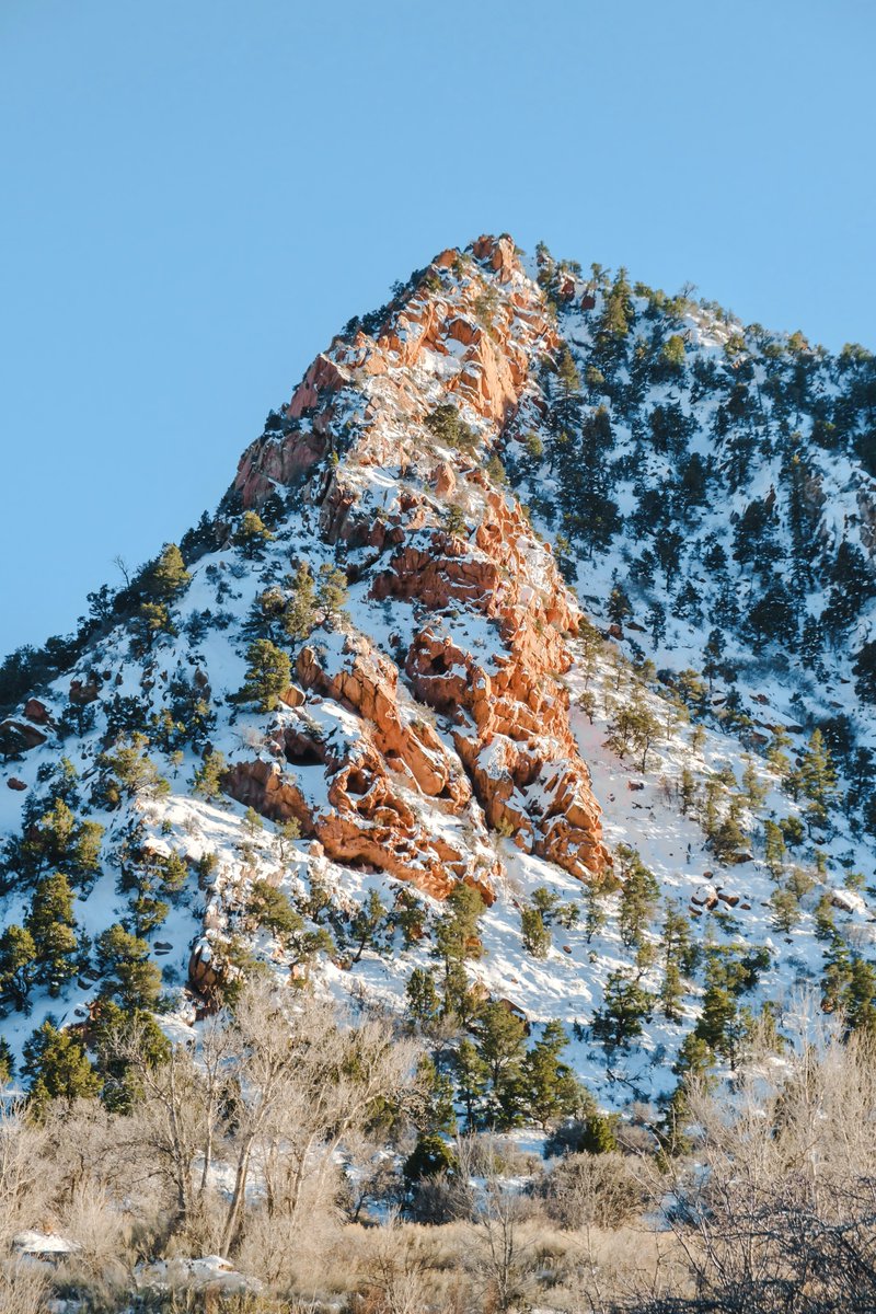 Simon Ribadeneira tweet media