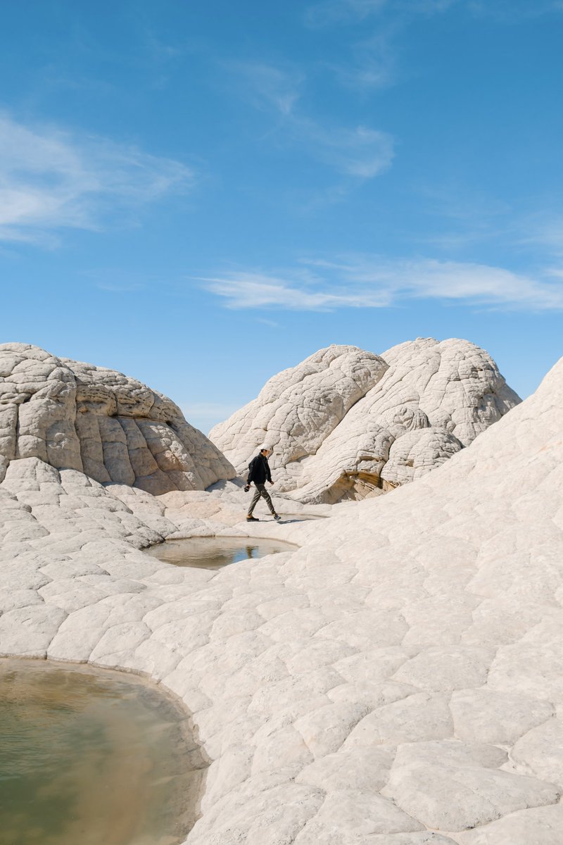 Simon Ribadeneira tweet media