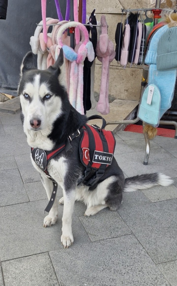 Excellent tweet media