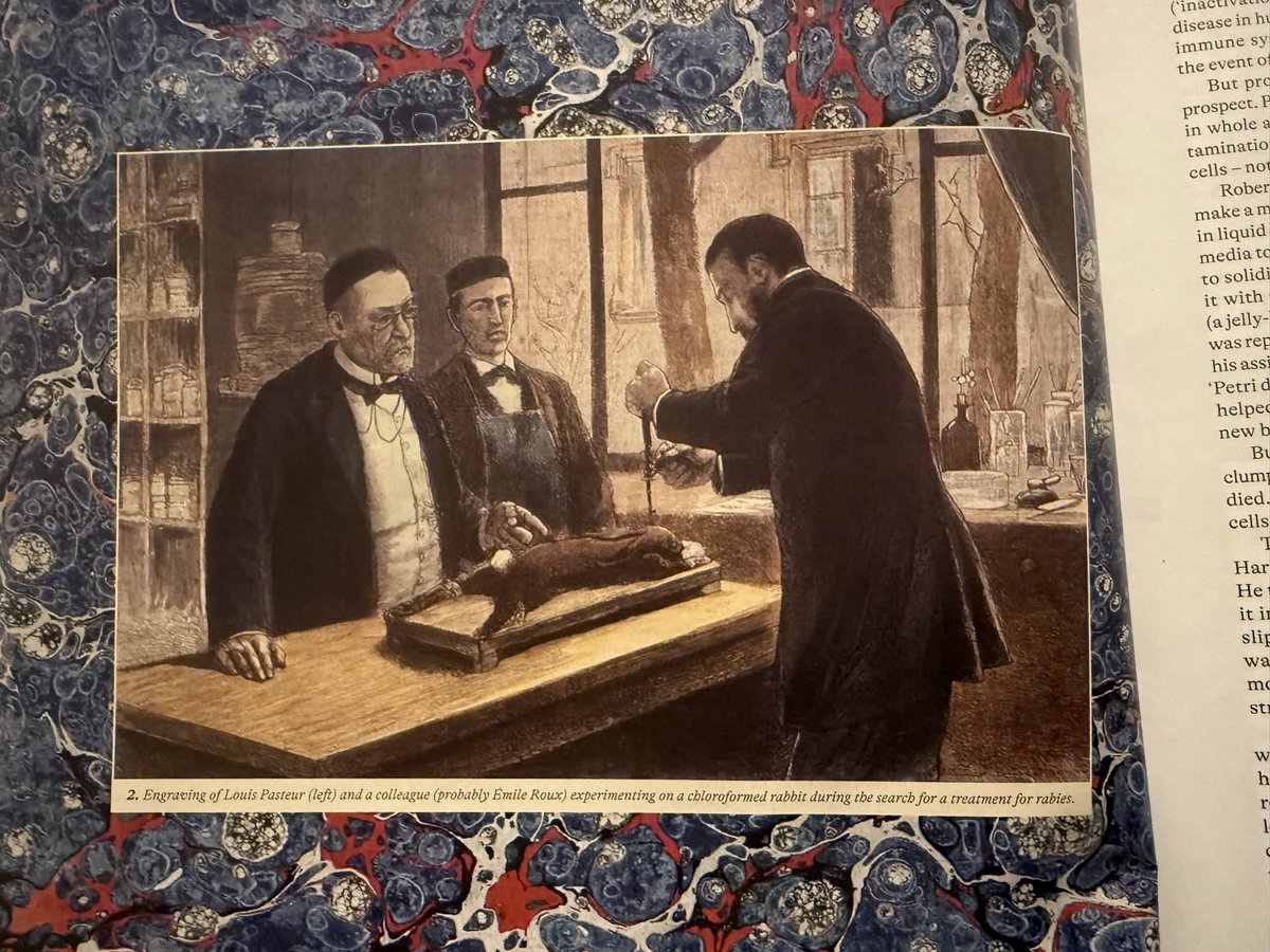 Seth Howes tweet media