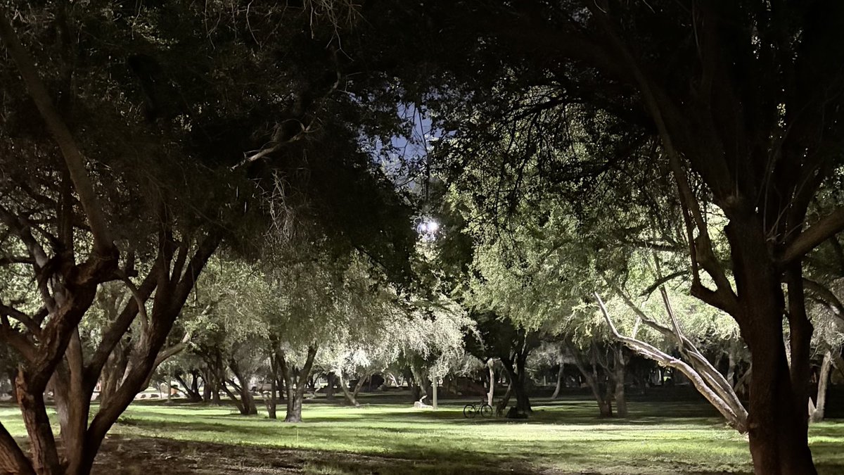 أَسـماء 🪐 tweet media