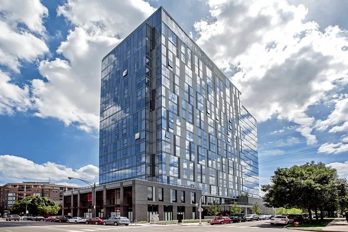 Alicia, Courtyard Urbanist tweet media