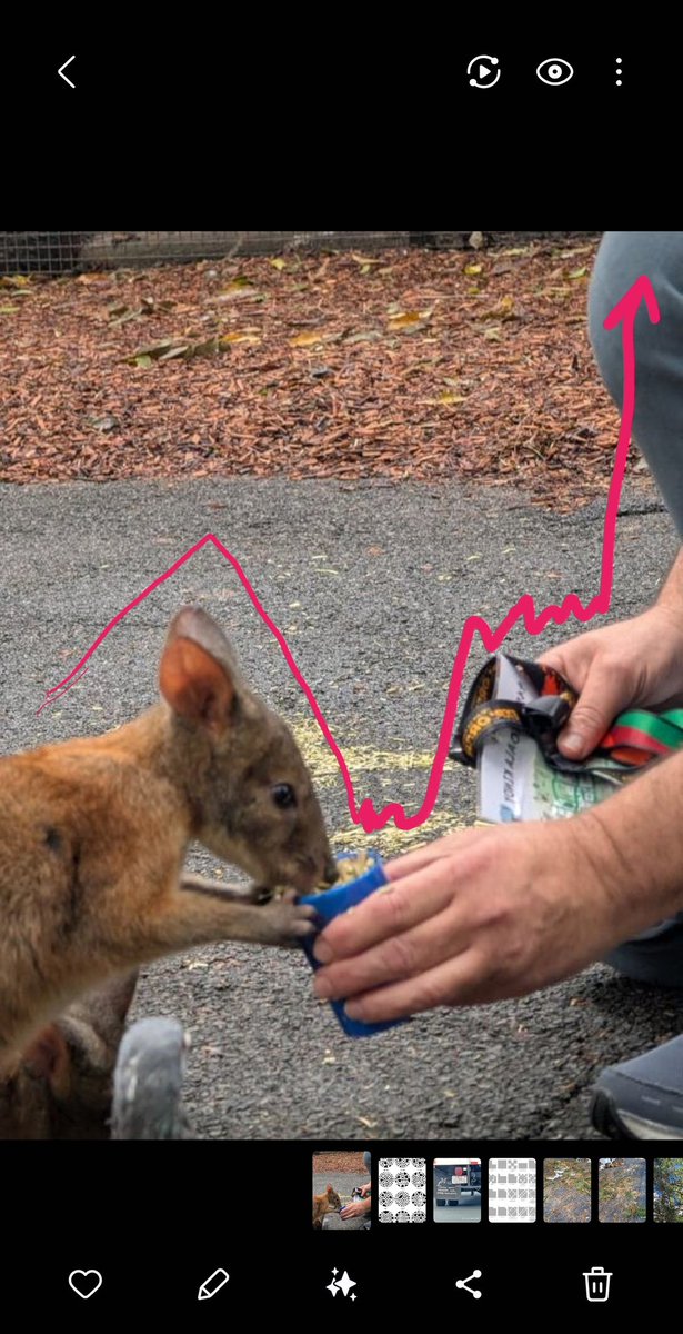 CryptoYourself tweet media