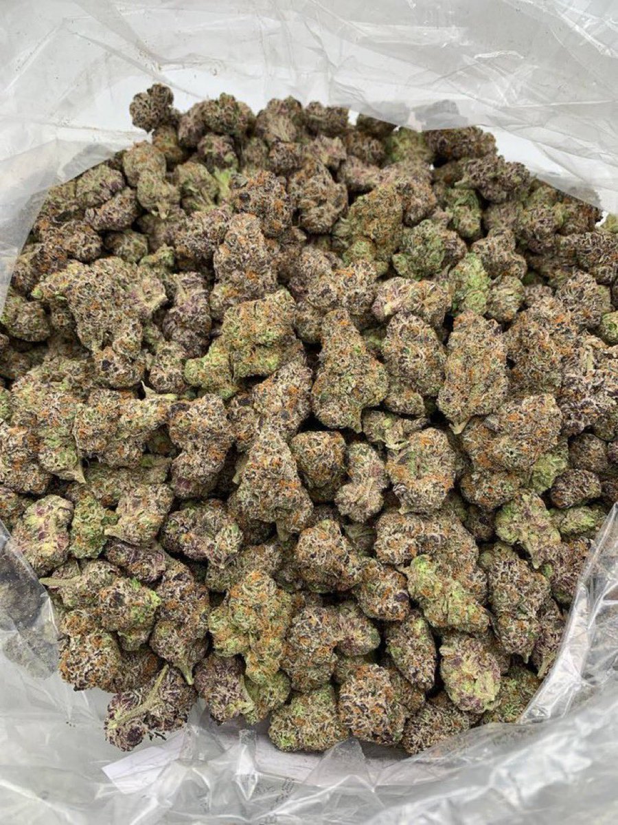 exotics82202's tweet image. NC statewide plug alert 🚨 Charlotte to Raleigh to Asheville – zaza, gas, loud wherever you at. Hit my line! #NCPlug #WeedForSale weed plug 🔌