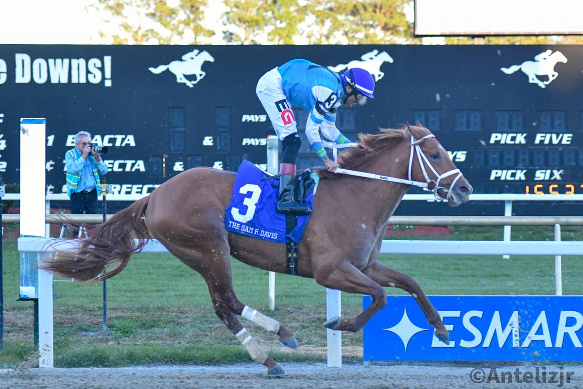 JRRanch1802's tweet photo. THE PUMA (3yoC Essential Quality) is back in action this next Saturday March 07th at @TampaBayDownsFL 

TAMPA BAY DERBY G3 
PP 8 - @jjcjockey up for trainer @gds_racing 

THE PUMA regresa a la acción y lo hará este Sábado 07 de Marzo en Tampa Bay Downs

Photo @AntelizJr https://t.co/m8ZCVhZhpE