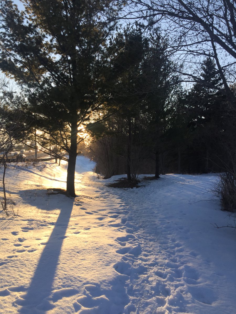 Michael Jacobs tweet media