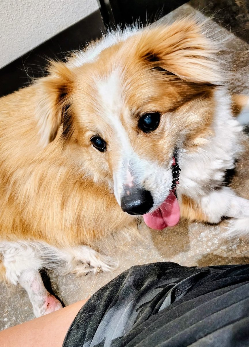 ☯️TheBassPlayer❤️‍🔥 tweet media