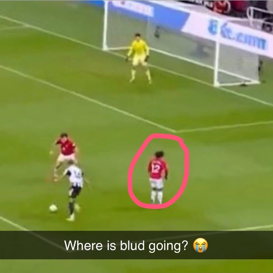 Magpie Media tweet media