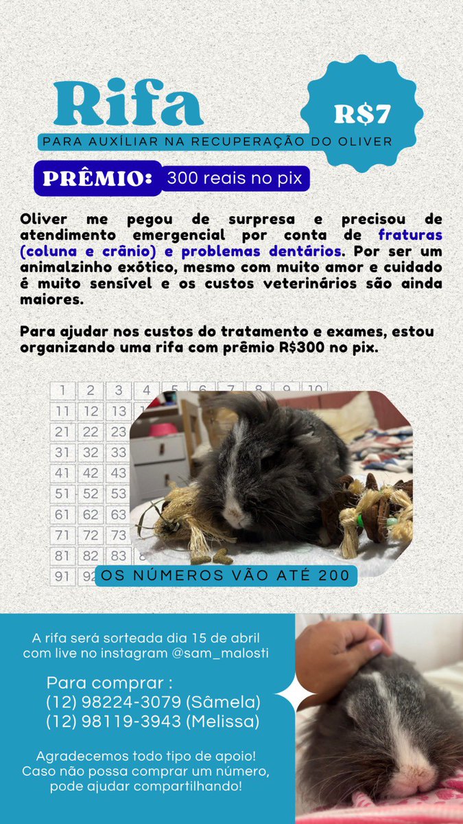 ohsweetnesss_'s tweet photo. @MaxianeR rifa com prêmio um pix de 300 reais que estou fazendo para auxiliar nos custos veterinários do meu coelhinho, o Oliver. Mesmo muito amado e cuidado, Oli apresentou problemas dentários, 3 fraturas na coluna e uma no crânio. Compartilhar também é ajudar! Obrigada 🐰 https://t.co/iQh3epEiBQ