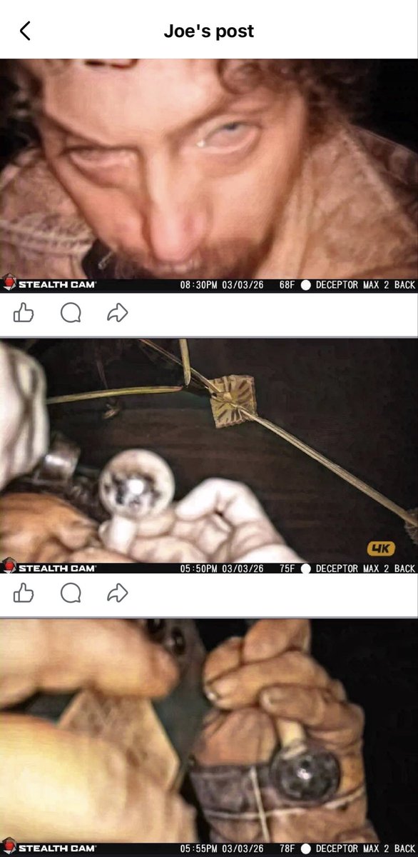 Conservative in Oregon tweet media