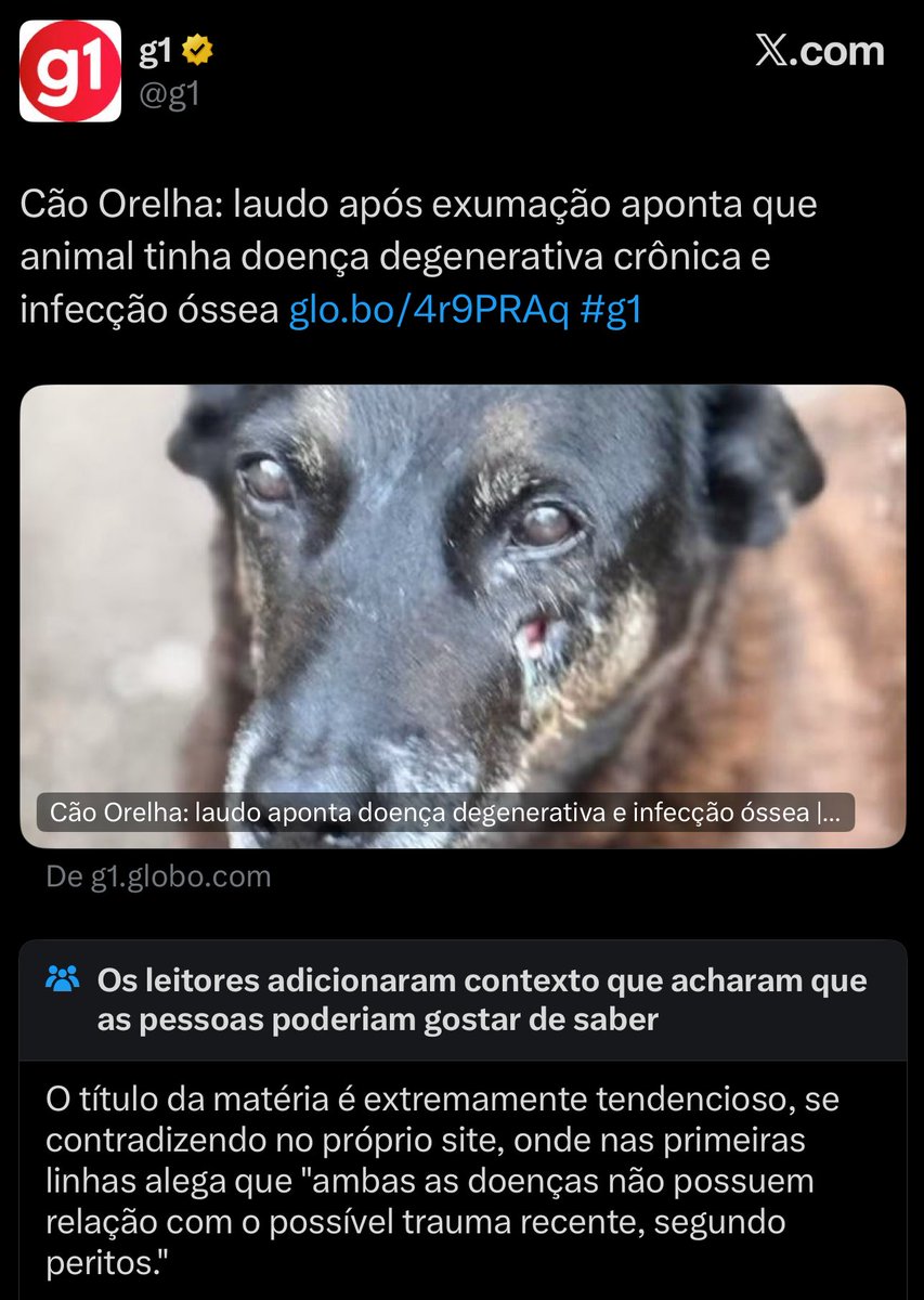 kaarolzx's tweet photo. O pix caiu p Globo e é claro que eles já soltaram matéria tendenciosa sobre o Orelha dizendo que o laudo apontou que ele tinha doenças, o que não contavam é que iam tomar nota da comunidade. E é curioso os peritos não conseguirem identificar lesões mas até doenças conseguiram 😆 https://t.co/yzFONKH5S9