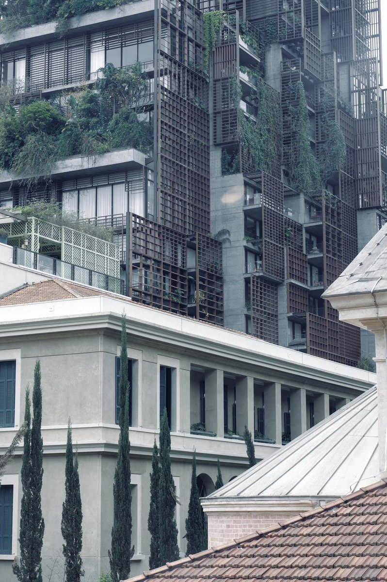 Lens on Chain tweet media