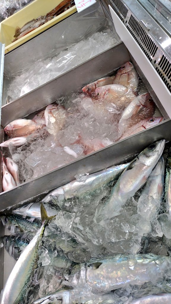 🐟NoZoMi🐡 (@NoZoMi62899360) / Posts / X