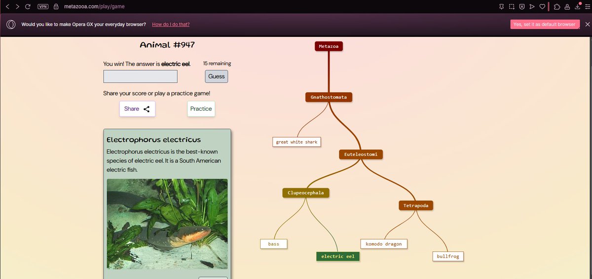 _therealKouki's tweet photo. guys go play metazooa, its like wordle but evolutionary relationships https://t.co/uwdagSw54o