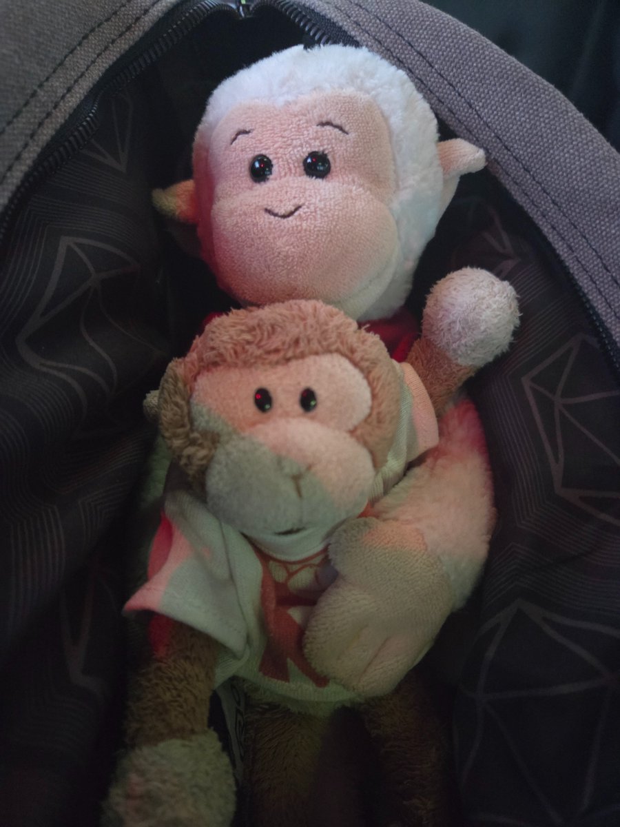 On the plane for a next-to-last minute excursion!