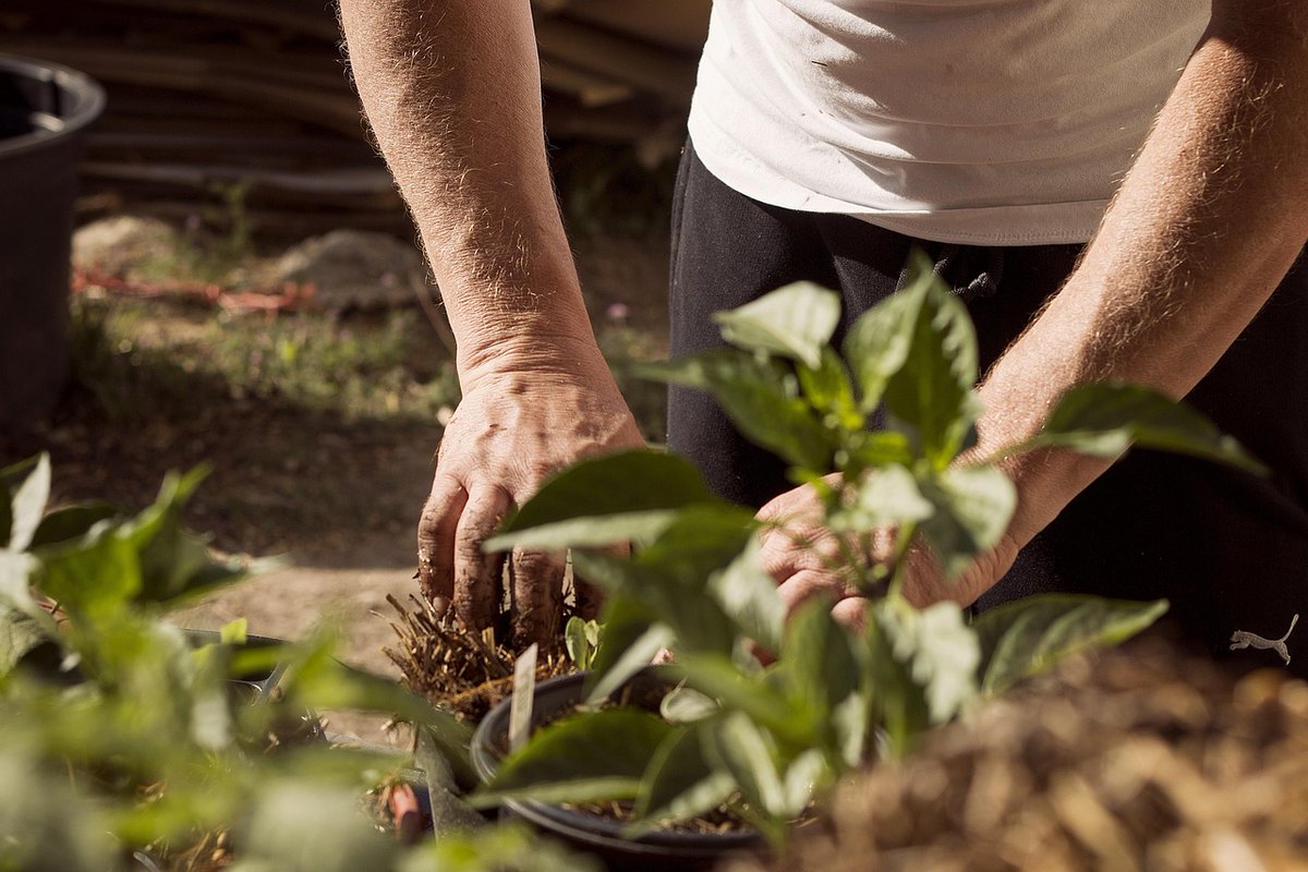 FarmShopAus's tweet photo. Keep your farm running smoothly with tough, reliable watering gear built for Aussie conditions. From premium nozzles and tap adapters to oscillating sprinklers, our range is made to handle your everyday watering needs with ease. 

https://t.co/A1b3FDJcEW https://t.co/3PAQf7iKnk