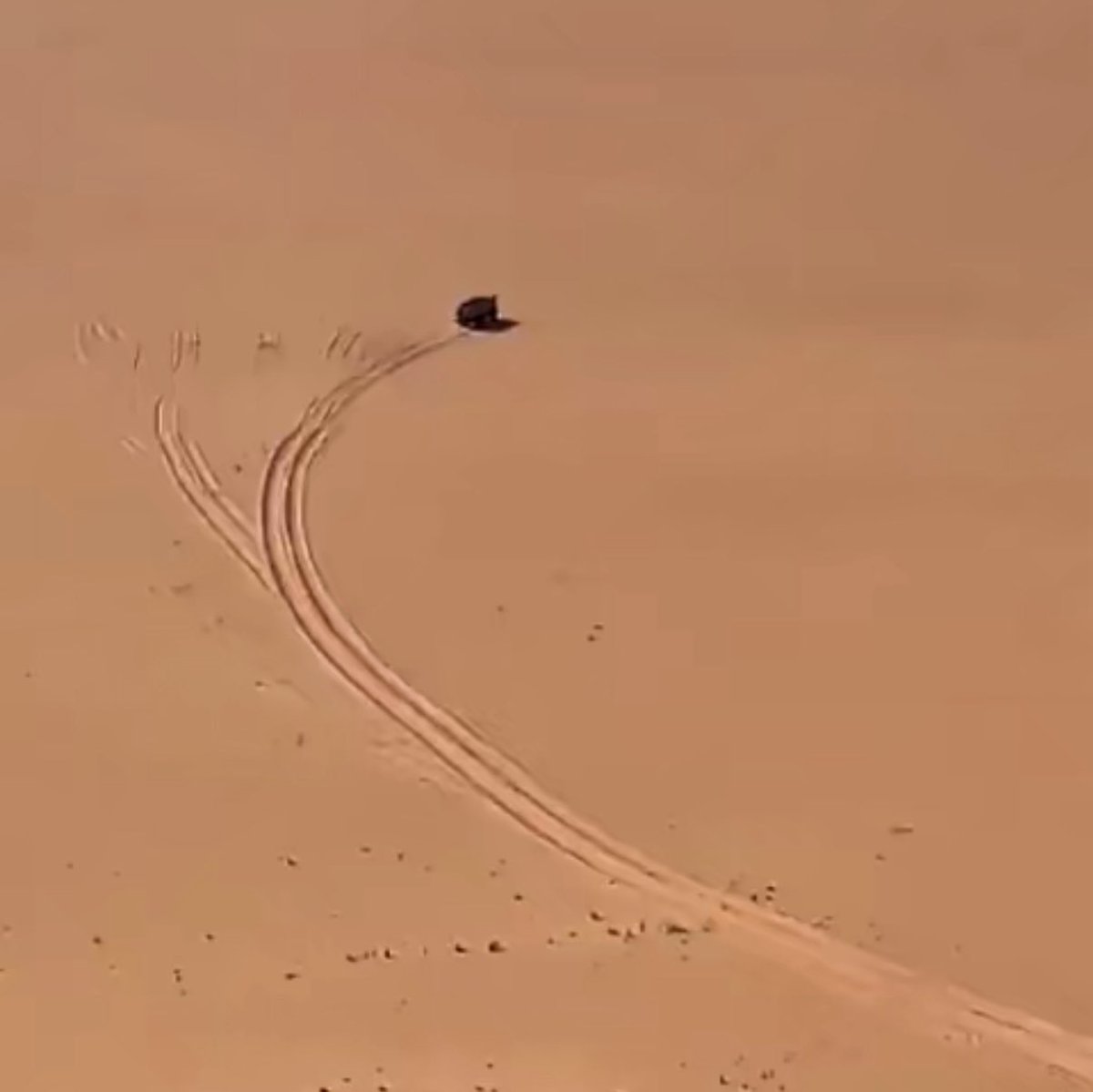 ddwws12's tweet photo. وجودي وجود اللي نشب موتره في عرق
عدام ٍ خلاء ماحوله من العرب  دوعي
.
يبي له  طريق ً خابره .. حال دونه  طرق
ونزل جفرةٍ من دونه الدرب مقطوعي
.
حبس للكلتش وعطب الدزق معه وحرق
وقام  يتطلع  فالمراقيب .. مفزوعي 
.
بدا  فـ الطويل وجض قلبه وكح وشرق
ولايذكر  ... الا ترمسٍ فيه   قرطوعي 
. https://t.co/tjqkMImFzh