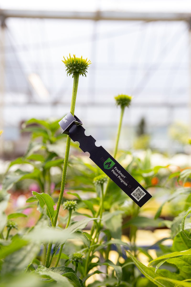 FireSmart BC tweet media