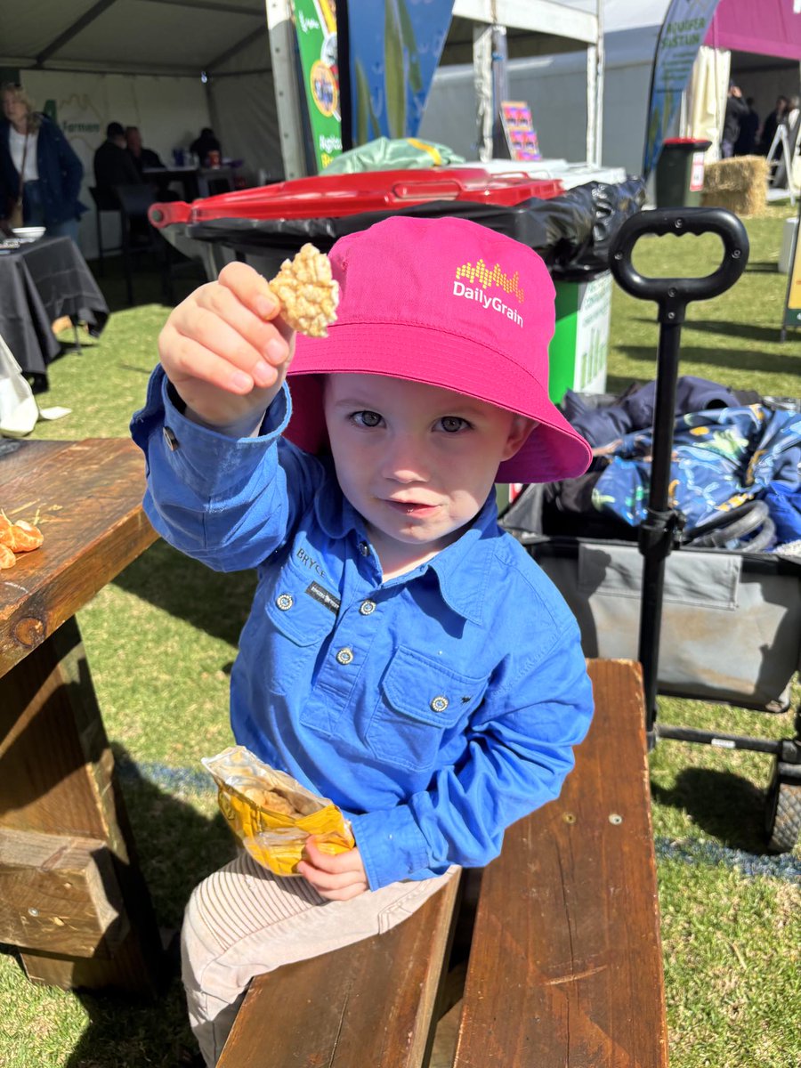 DailyGrain tweet media