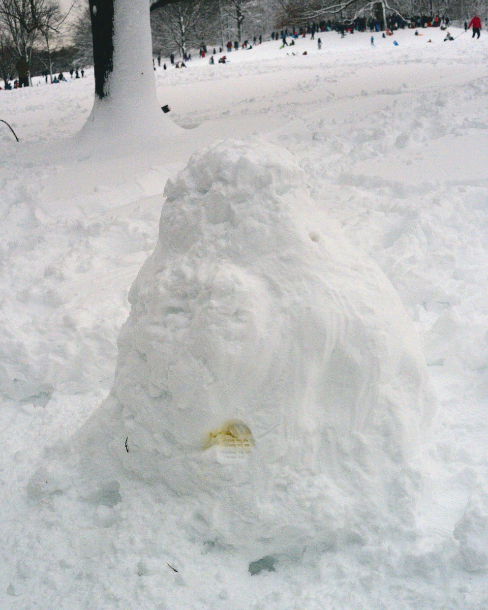 dcp (@beforeorbeyond) on Twitter photo 