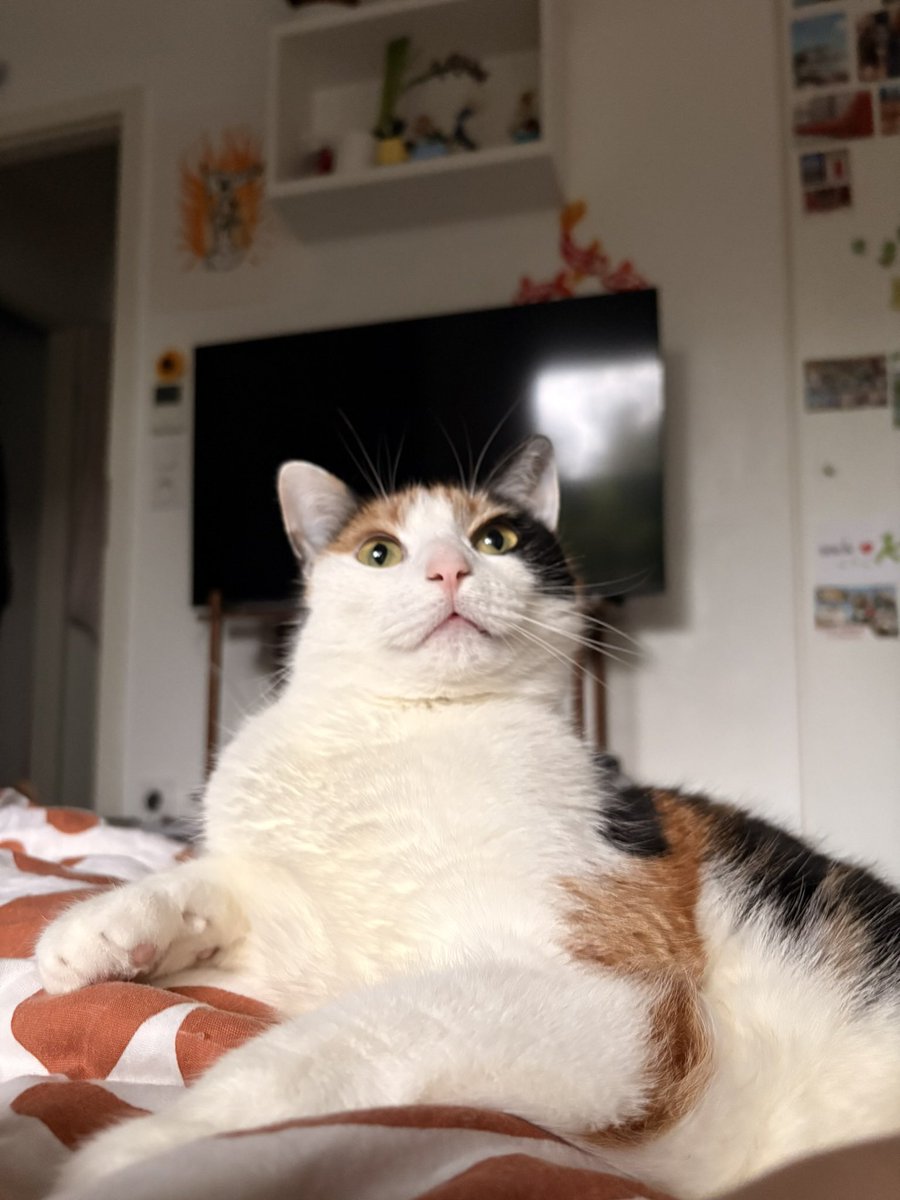 Fox 3 : sending RER A home (hate account)🇵🇸 tweet media