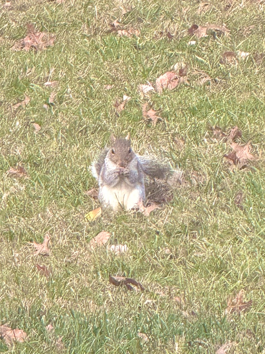 SitaIRL88's tweet image. Them.... ! Always 🤍✨

#Mine