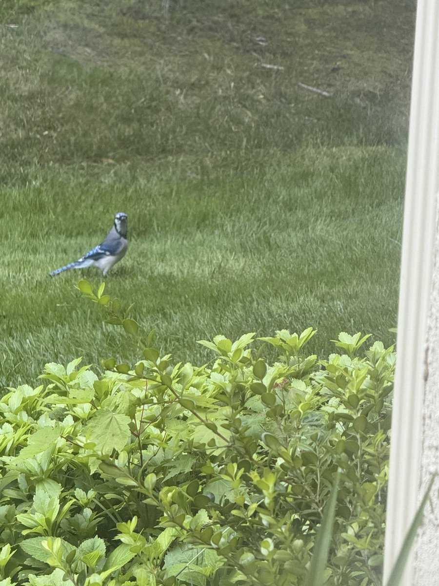 SitaIRL88's tweet image. Them.... ! Always 🤍✨

#Mine