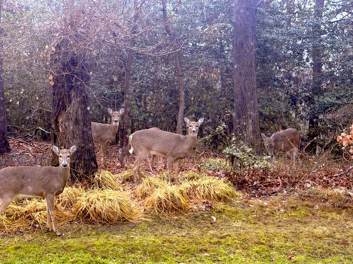 SitaIRL88's tweet image. Them.... ! Always 🤍✨

#Mine