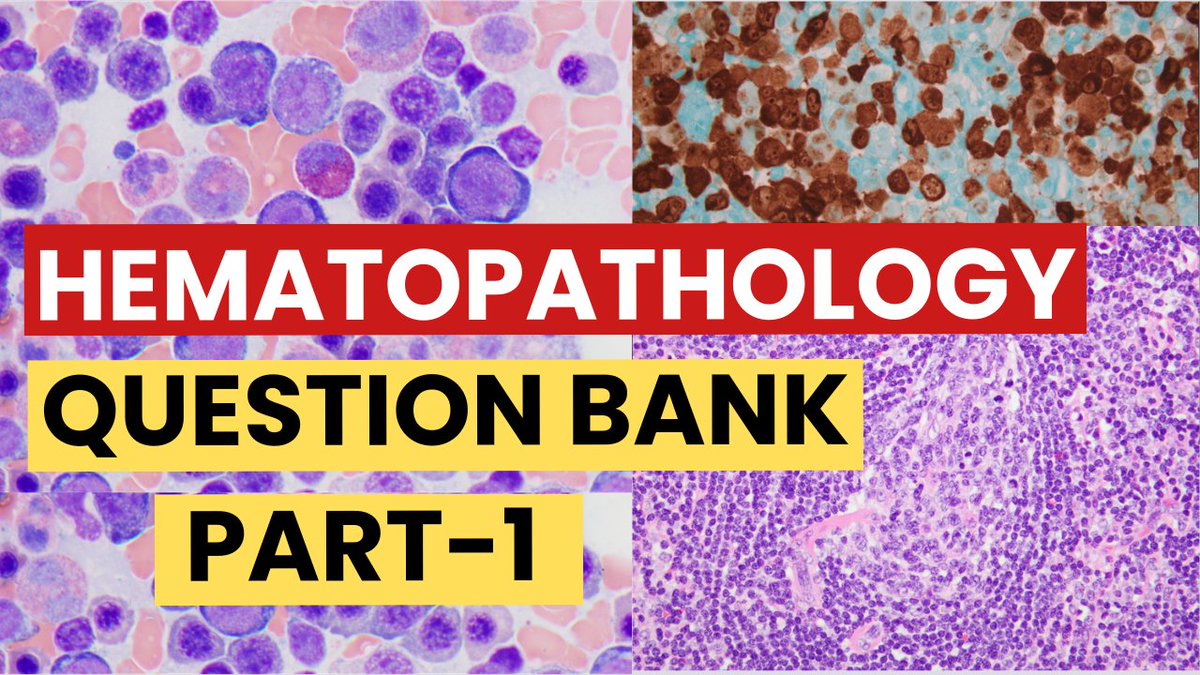 Haluk Kavus, MD tweet media